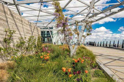 Underutilised commercial flat roof successfully converted into an engaging office recreational area and green oasis.