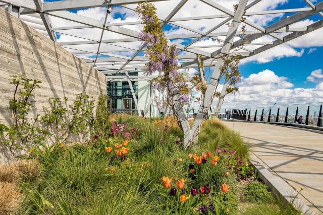 A bespoke London roof garden featuring a steel canopy, glass balustrade, and an automated irrigation system.
